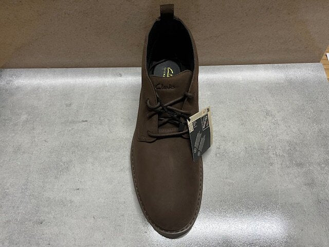 Polacchino Clarks